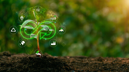 Circular economy icon with trees. Circular economy concept. Sustainable Development Goals, clean...