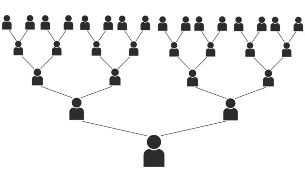 Business tree illustration. Describe multilevel marketing