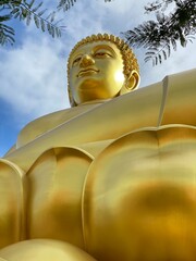 In front of His Majesty golden buddha statue