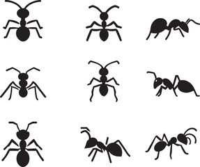Ant vector silhouette illustration