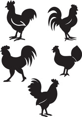 Chicken Rooster vector silhouette illustration