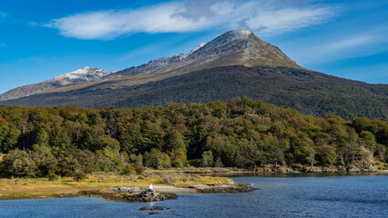 Picturesque mountains on the background of azure sky and clouds. The forest grows on the slopes. A calm blue lake in the valley. Lapataia Bay. Argentina. Tierra del Fuego National Park. 