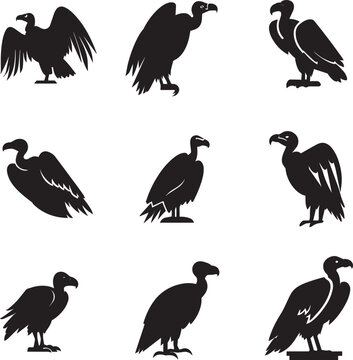 Vulture vector silhouette illustration Black color