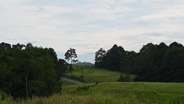 Calm and serene and a bird flies to the left in this landscape, Khao Yai National Park, Thailand