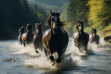 Fotobehang horses in the water © Nature creative