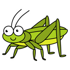 grasshopper invertebrate animal