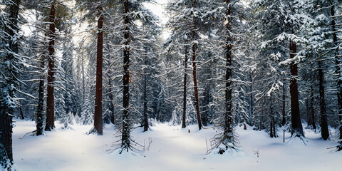Fototapeta premium Full pine forest with snow background