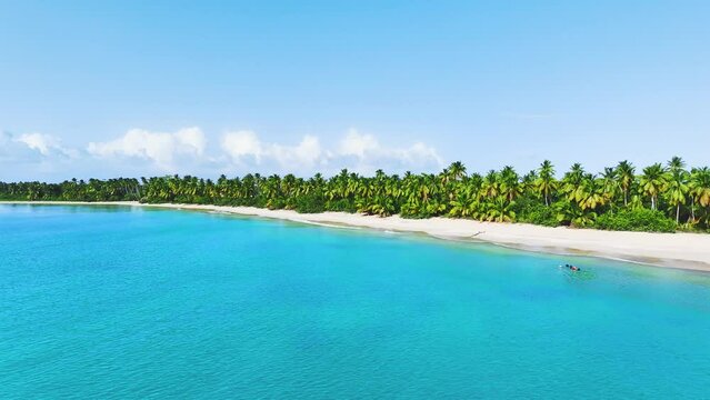 Bright green palm trees in front of a turquoise sea wave on a tropical beach in Thailand. Hot summer concept in Asia. Deserted island with palm trees on the beach. A paradise for rest and relaxation.