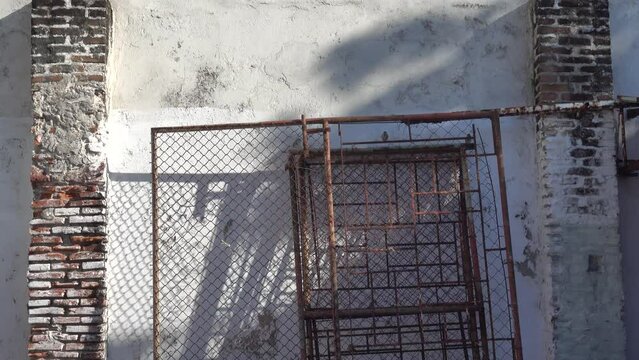 Pajaritos en la reja 