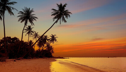 Banner Summer with colorful theme as palm trees background as texture frame background