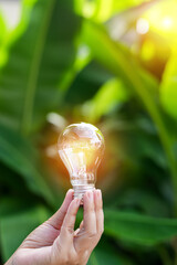 light bulbs green on background