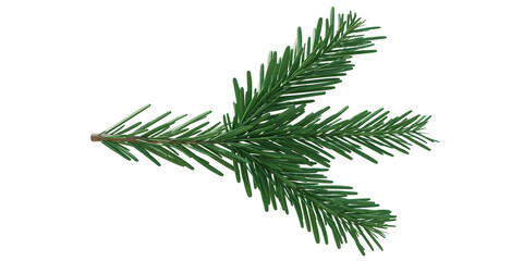 Christmas spruce, green fir twig isolated on white transparent background, PNG. Xmas pine tree branch closeup