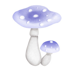 mushroom 2