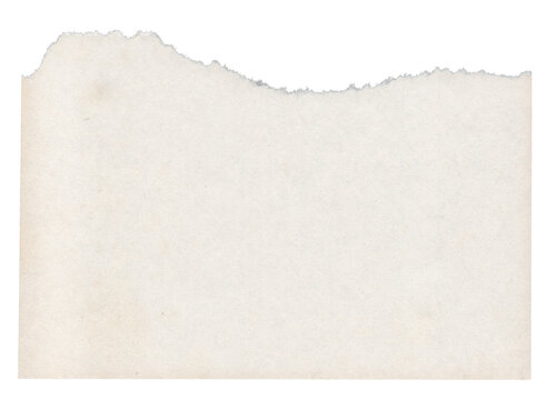 transparent ripped paper edge 