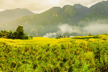 Mu Can Chai, rice terrace fields landscape with houses near Sapa, Northern Vietnam.