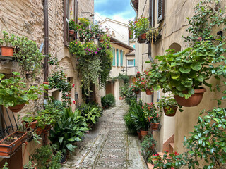 Romantic floral street in Spello, medieval town in Umbria, Italy. Famous for narrow lanes and balconies and windows with flowers - 650555004