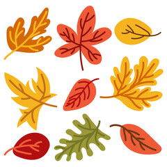 Obraz premium Autumn leaves set isolated on a white background. Simple cartoon flat style, vector illustration. A bright set with a contour. Cute cozy illustration maple, oak, small-leaved