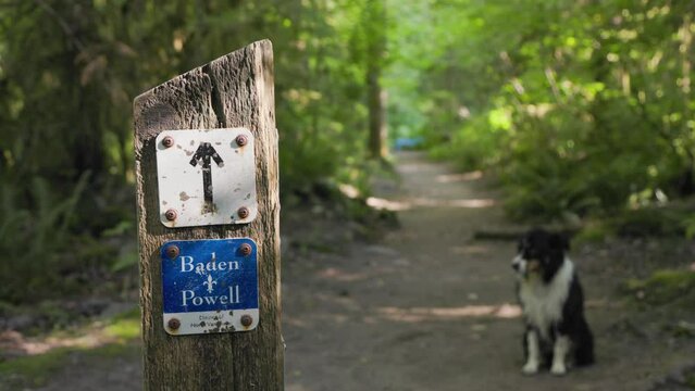 NORTH VANCOUVER, BC, CANADA - JULY 21, 2023: Trail sign post for the Baden Powell Trail in Lynn Canyon Park, a popular tourist attraction and hiking area. 4K 24FPS