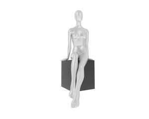 Mannequin isolated on transparent background. 3d rendering - illustration