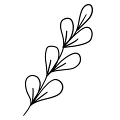 Cute handdrawn botanical leaf doodle isolated on white background