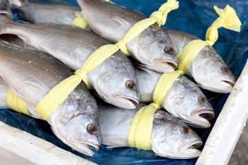 한국의 전통시장에서 판매중인 굴비