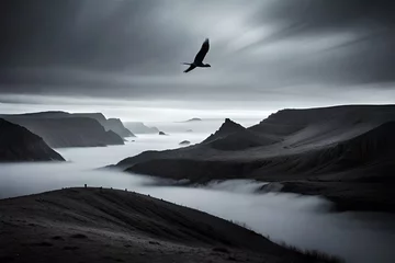  bird flying over misty hills, monochrome nature la © Muhammad