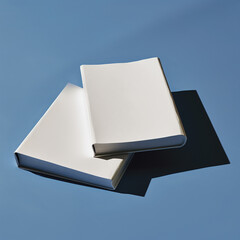 White plain books with shadow
