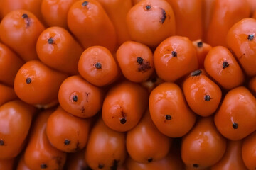 fruits fof conjuc  in Thailand