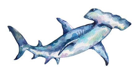Watercolor Great Hammerhead Shark. Hand drawn illustration isolated on white background. - obrazy, fototapety, plakaty