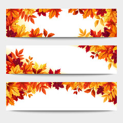Web banners with red, orange, yellow, and brown autumn leaves. Set of vector web banners