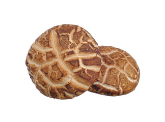 Shiitake mushrooms isolated on white background