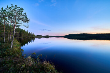 Autumn night in forest lake
