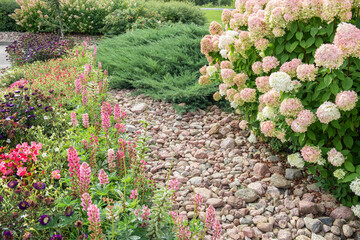 Hydrangea paniculata and conifer. Beautiful Garden path made of natural stones, gravel. Huge...