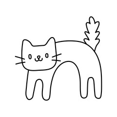 black cat