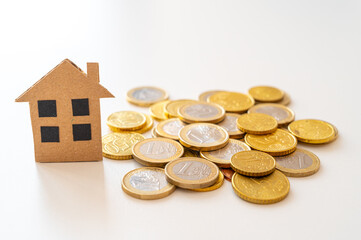 Stylization of a house, with coins around it. Costs of buying and maintaining a house, increase in...