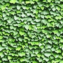 seamless green ivy wall