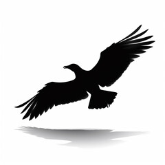 Obraz premium bird on white