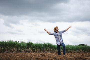Farmers want rainwater from the clouds that are set up for perfect sugarcane fields.