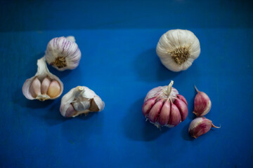 sample of garlic in a factory