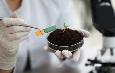 Researcher holds small-stemmed glass flask with soil with Ph test strip. Scientific research in...