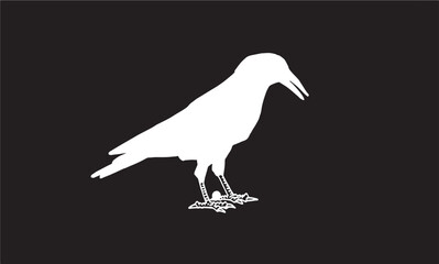 Ink pen vector silhouette of crow isolated on black background. Element for design,tattoo and printing