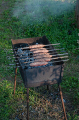 barbecue grill on the garden