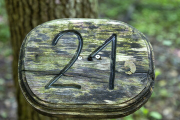 Twenty one
