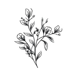 A hand-drawn floral branch featuring minimalist flowers, suitable for use in logos or tattoos. This elegant design incorporates delicate leaves and wedding herbs