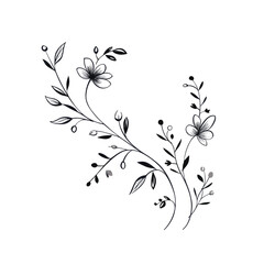 A hand-drawn floral branch featuring minimalist flowers, suitable for use in logos or tattoos. This elegant design incorporates delicate leaves and wedding herbs