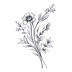 A hand-drawn floral branch featuring minimalist flowers, suitable for use in logos or tattoos. This elegant design incorporates delicate leaves and wedding herbs