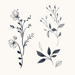 A hand-drawn floral branch featuring minimalist flowers, suitable for use in logos or tattoos. This elegant design incorporates delicate leaves and wedding herbs