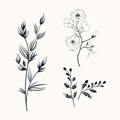 A hand-drawn floral branch featuring minimalist flowers, suitable for use in logos or tattoos. This elegant design incorporates delicate leaves and wedding herbs
