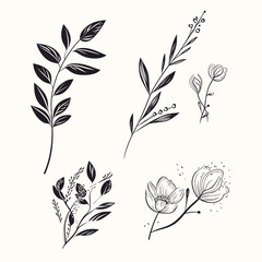 A hand-drawn floral branch featuring minimalist flowers, suitable for use in logos or tattoos. This elegant design incorporates delicate leaves and wedding herbs