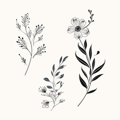 A hand-drawn floral branch featuring minimalist flowers, suitable for use in logos or tattoos. This elegant design incorporates delicate leaves and wedding herbs
